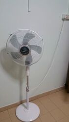 Blk 328 Serangoon Avenue 3 (Serangoon), HDB 4 Rooms #561595841